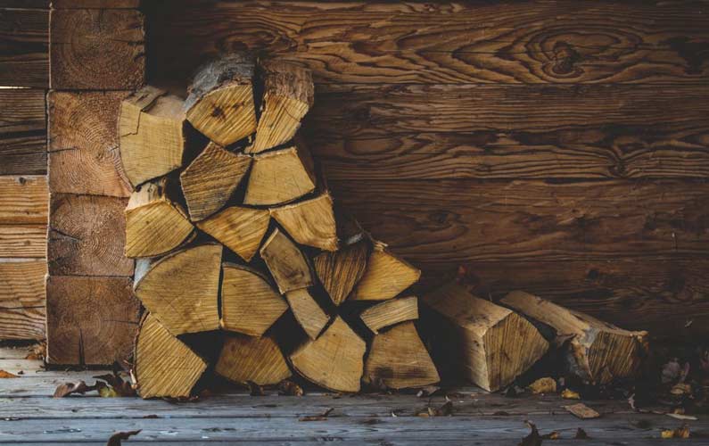 Best Logs for a Wood Burning Stove