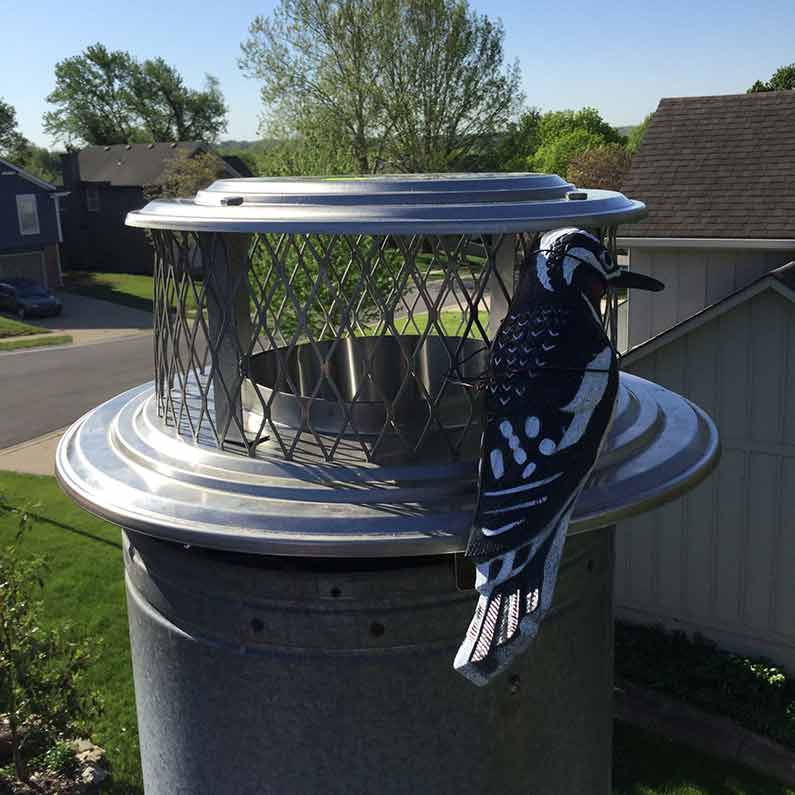 Chimney Cap Stops bat, bird and other animal Entry