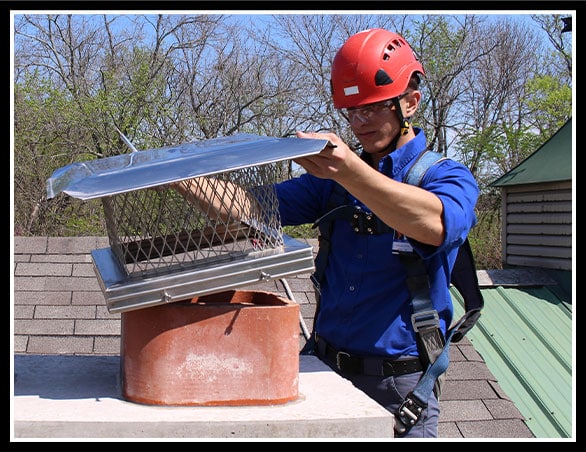 Professional Technician Inspecting Chimney