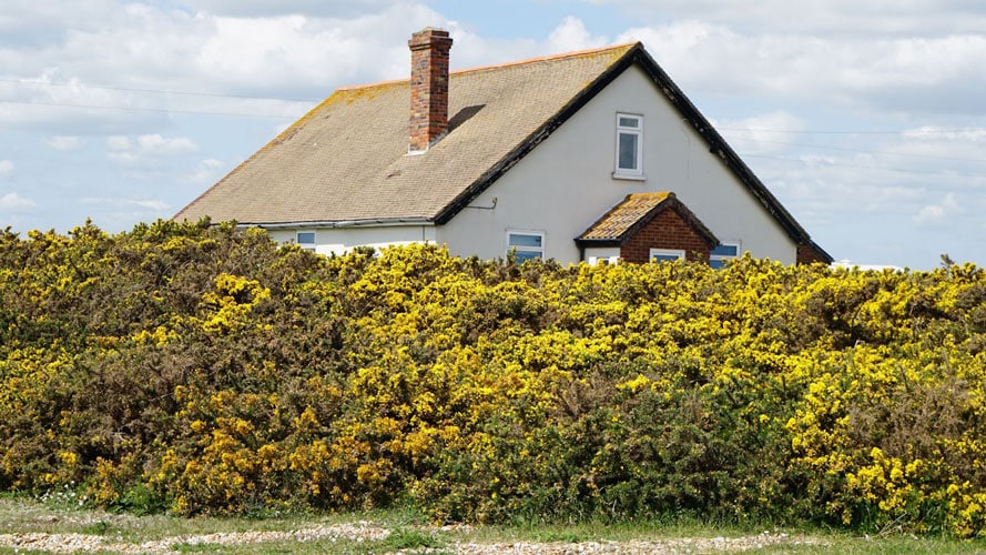 match your house color to your chimney