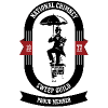 NCSG - National Chimney Sweep Guild Proud Member Logo