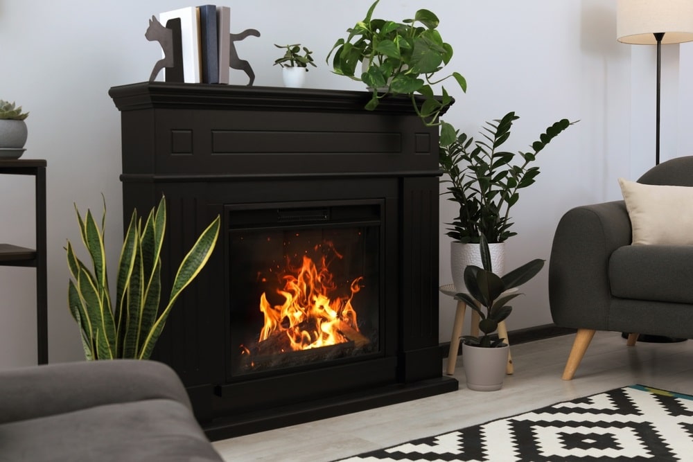Stylish black fireplace and green plants in living room